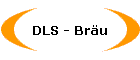 DLS - Bru