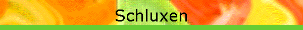 Schluxen